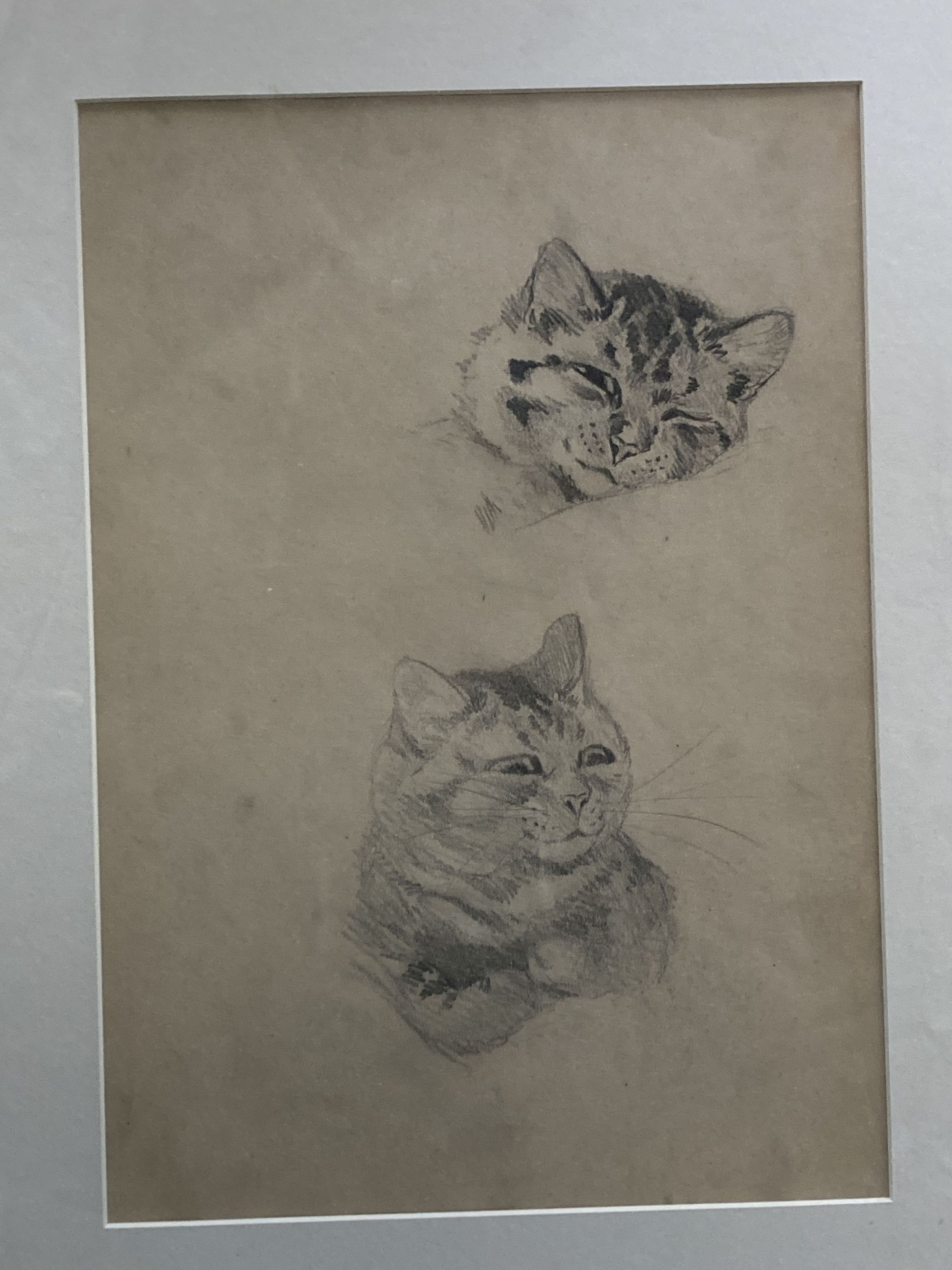 Louis Wain (1860-1939), pencil sketch, Studies of a sleeping tabby cat, further studies verso, Chris Beetles label, 34 x 24cm and 2 col